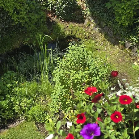 Zum Rosengarten 3 Sterne Im Westerwald Mit Komfort & Zentraler Lage Driedorf